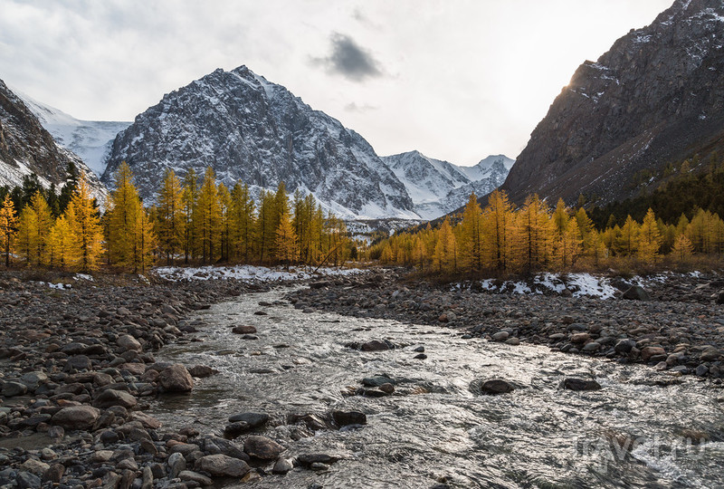 Краски осеннего Алтая / Фото из России