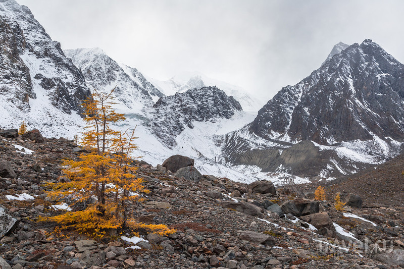 Краски осеннего Алтая / Фото из России