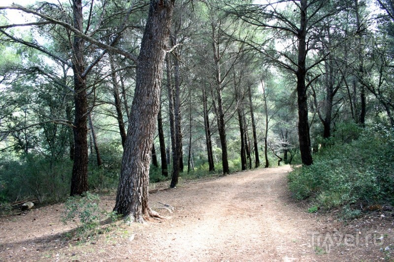    -  Sainte Victoire / 