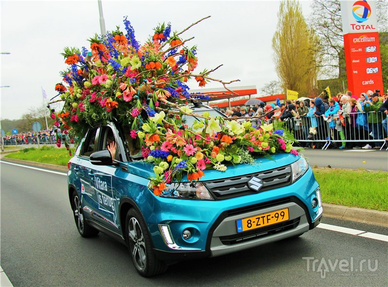 Голландский Парад Цветов / Нидерланды