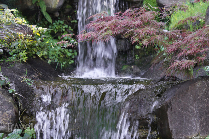 Японские сады Сан Франциско / Фото из США