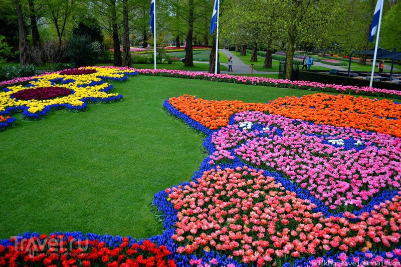 Кёкенхоф. Парк цветов. Прогулка / Нидерланды