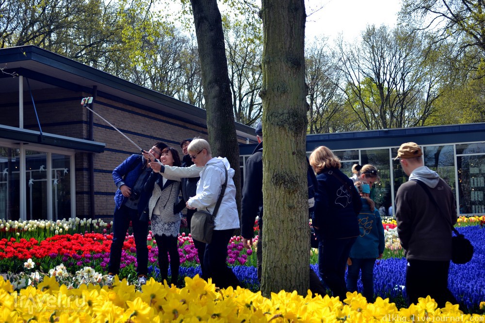 Кёкенхоф. Парк цветов. Прогулка / Нидерланды