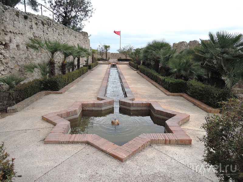 ,  (Castillo de Xàtiva) /   