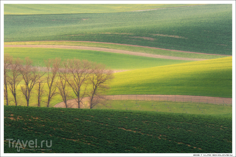 Весна в Южной Чехии / Фото из Чехии