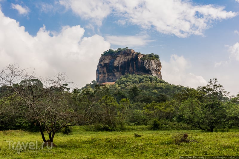 Шри-Ланка 2015. Вокруг Львиной скалы / Фото со Шри-Ланки