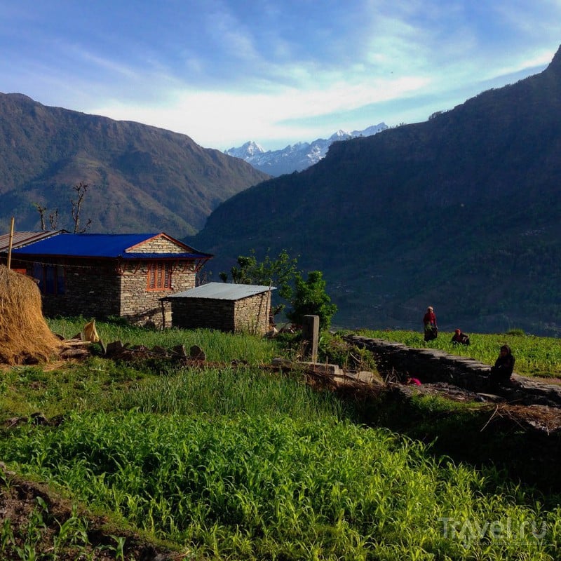 Спокойные будни непальской деревни / Фото из Непала