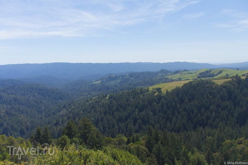  Skyline Ridge /   