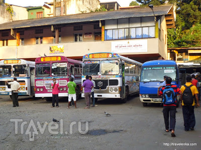 Автобусы Шри-Ланки / Шри-Ланка