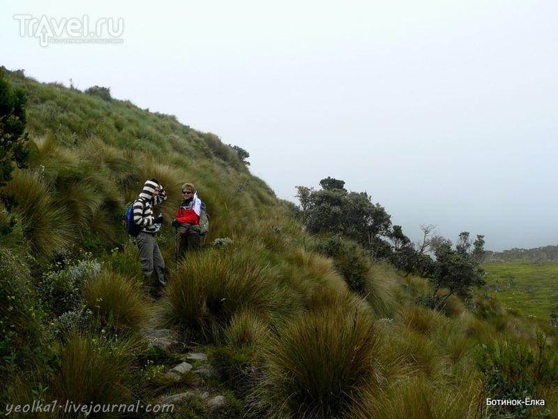 Колумбия - Con mucho gusto! Восхождение на вулкан Пурасе (4756 м) / Фото из Колумбии