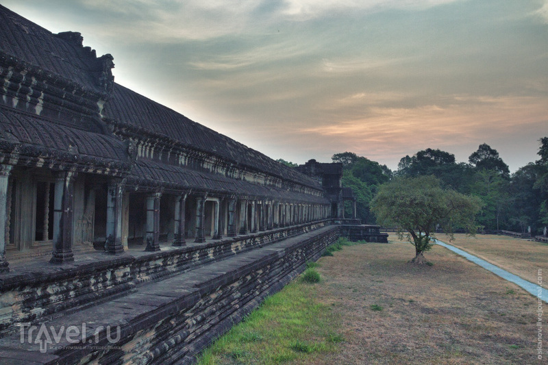 Ангкор-Ват, или Трудно быть богом / Фото из Камбоджи