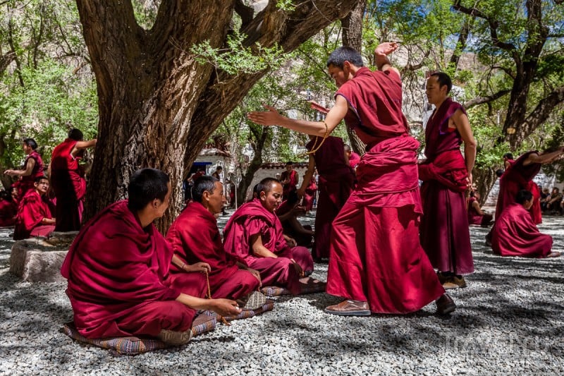 Тибет. Дебаты монахов в монастыре Sera / Китай