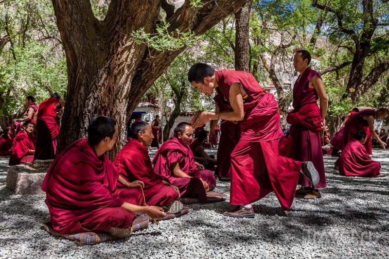 Тибет. Дебаты монахов в монастыре Sera / Китай