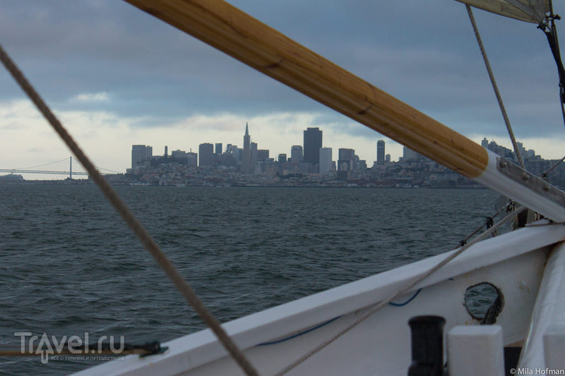 San Francisco: залив с борта шхуны / Фото из США