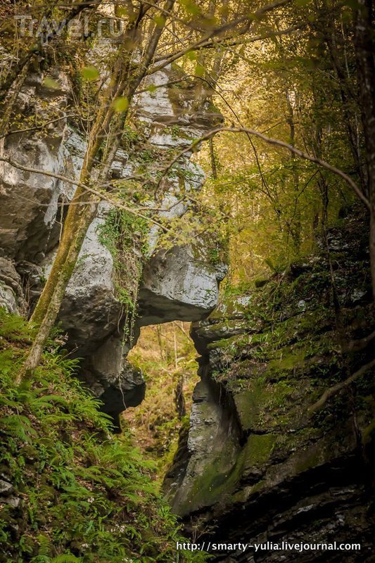 Словения: Водопад Козяк / Фото из Словении