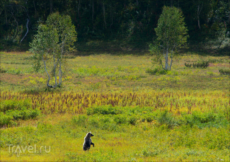 Путешествие по Камчатке: природный парк Налычево / Фото из России