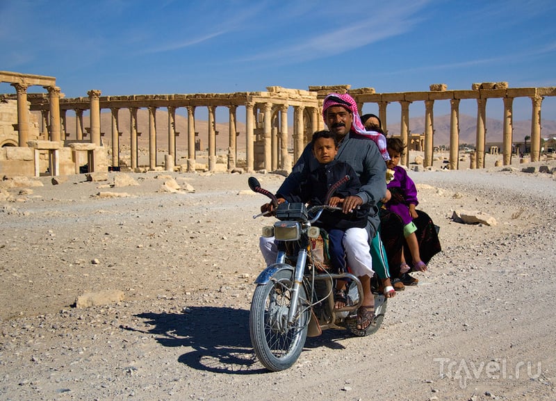 Сирия. Пальмира / Фото из Сирии
