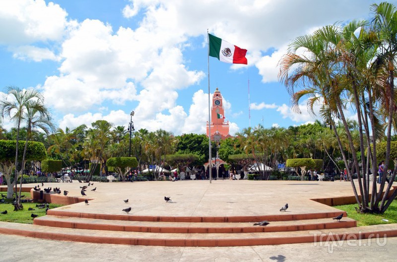 Мерида - город тысячи цветов / Мексика