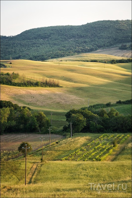 Тоскана: общие впечатления, цветение, наш агротуризм / Фото из Италии