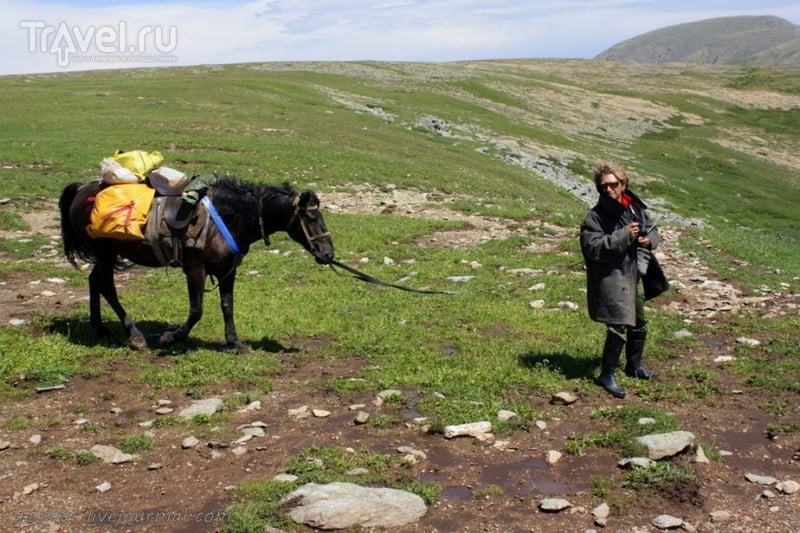 По Горному Алтаю на конях. Муехта - Аккаинский перевал - урочище Аярык / Россия