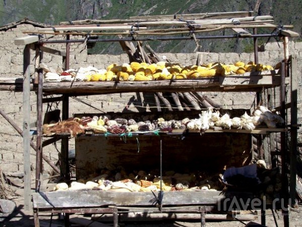 Шесть месяцев в Перу: Особенности Перуанской Жизни / Перу