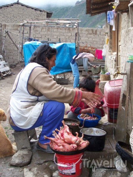 Шесть месяцев в Перу: Особенности Перуанской Жизни / Перу