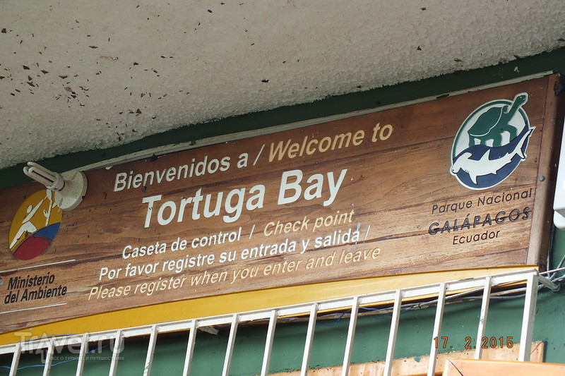 Галапагосы. Остров Санта-Крус. Пляж Тортуга Бэй / Эквадор