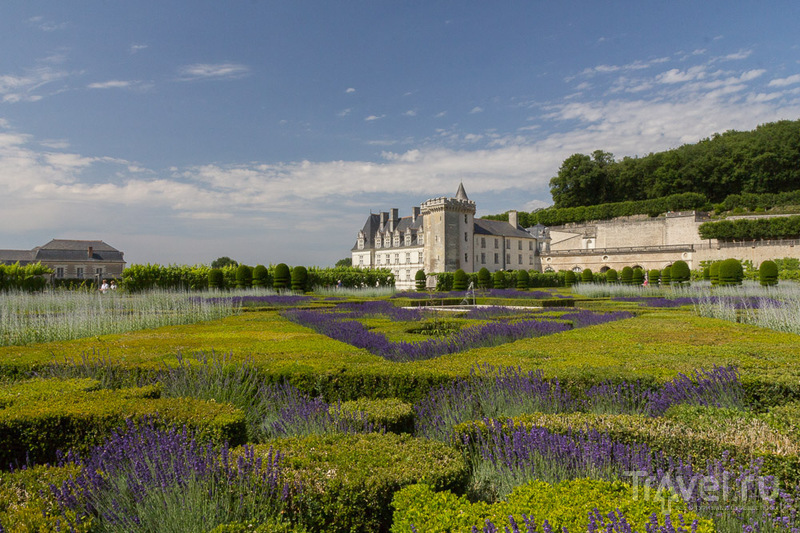 Замок и сады Вилландри / Франция