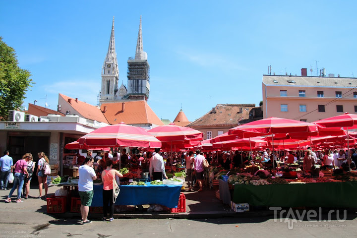Загреб. Рынок / Хорватия