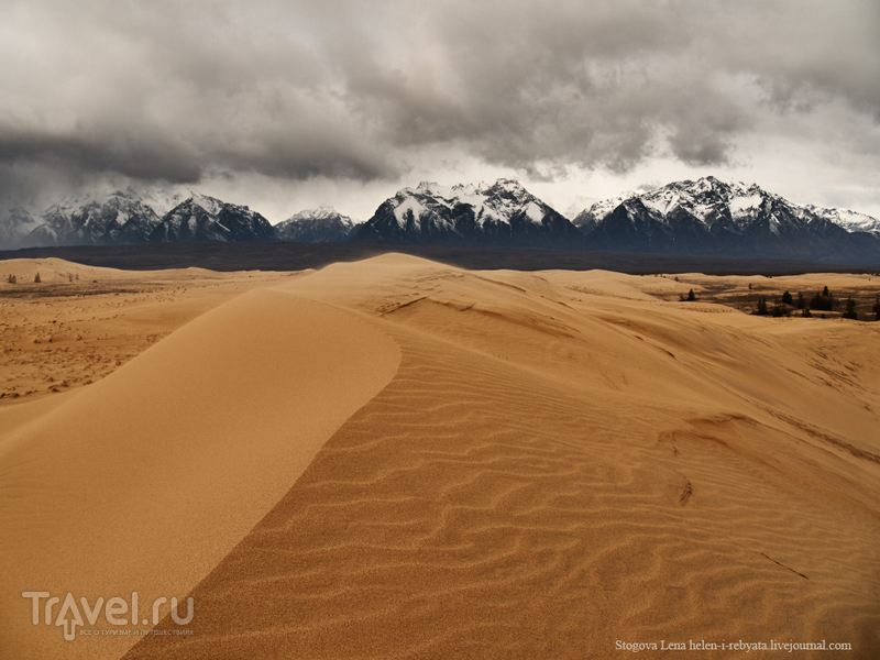 Чарские пески: уютная  пустыня в Сибири / Фото из России