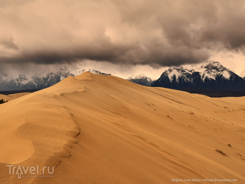 Чарские пески: уютная  пустыня в Сибири / Фото из России