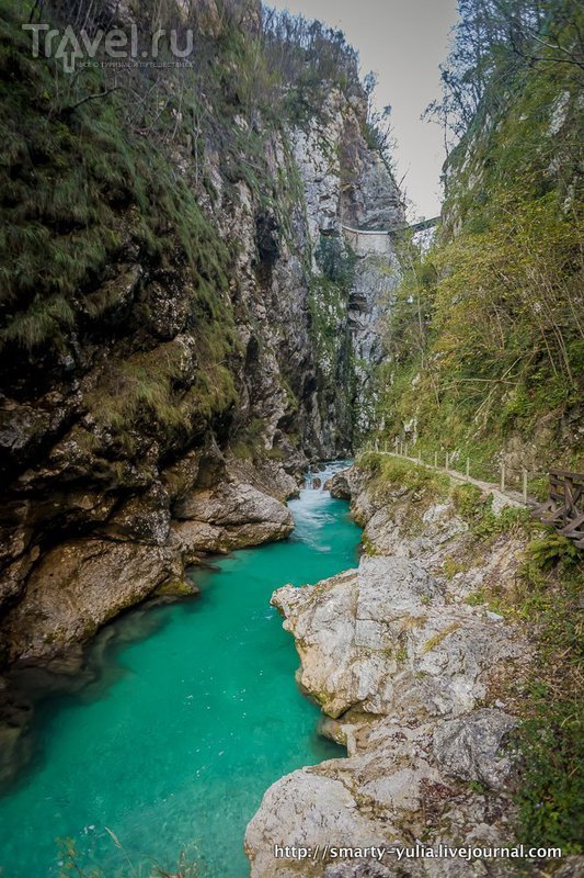 Толминское ущелье / Фото из Словении