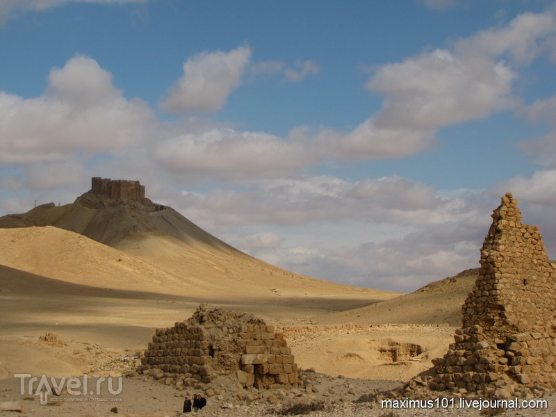 Пальмира - королева пустыни. Вне стен города / Сирия