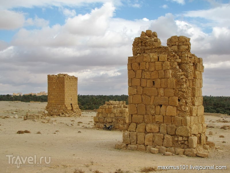 Пальмира - королева пустыни. Вне стен города / Сирия