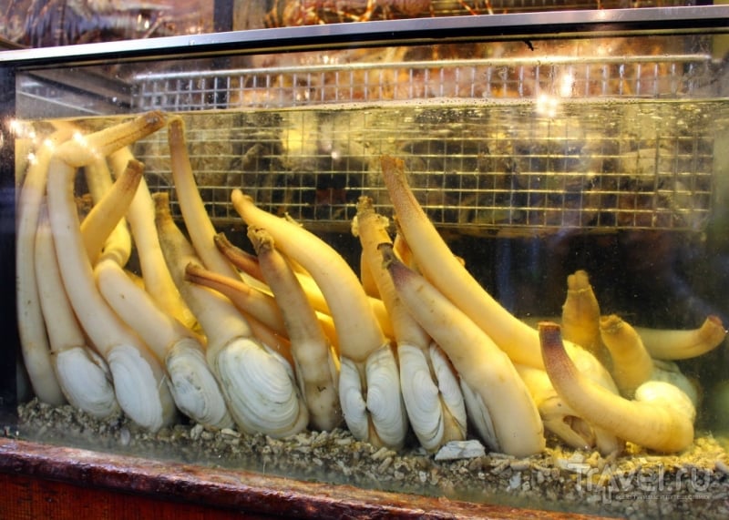 Рынок морепродуктов в Тайбэе / Тайвань