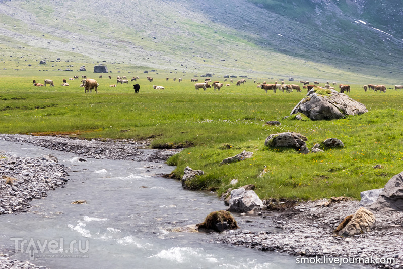Швейцарские альпы - спасение от городской жары / Фото из Швейцарии