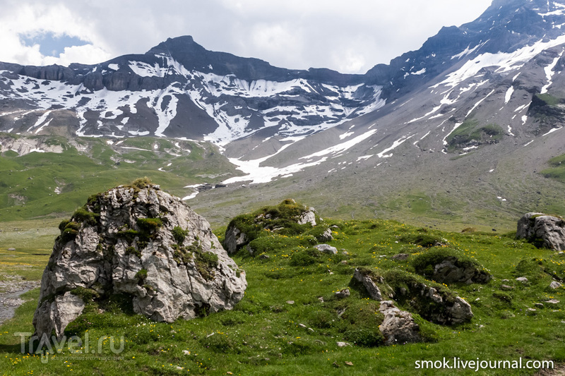 Швейцарские альпы - спасение от городской жары / Фото из Швейцарии