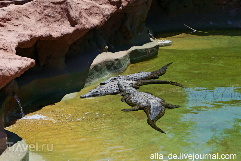   Lanzarote. Rancho Texas Park / 