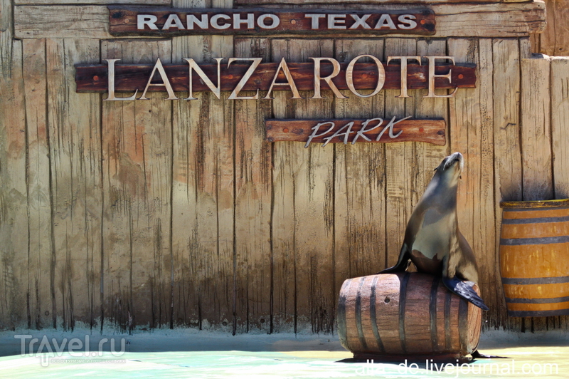   Lanzarote. Rancho Texas Park / 