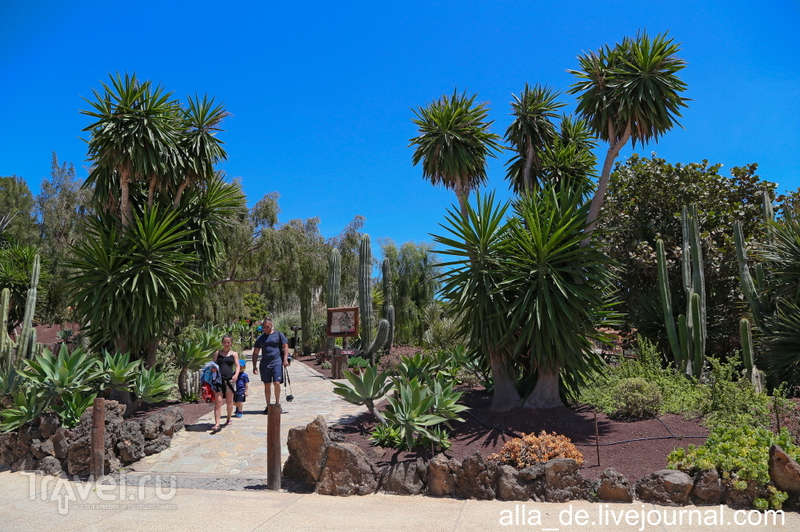   Lanzarote. Rancho Texas Park / 