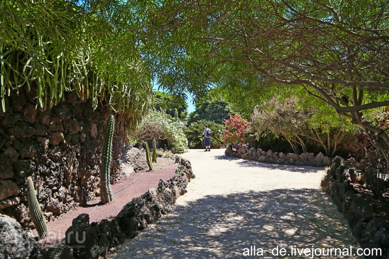 Канарский остров Lanzarote. Rancho Texas Park / Испания