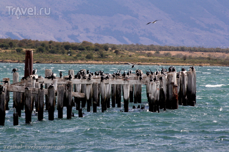 Патагония. От залива Последней Надежды к сбывшимся мечтам - Магелланову проливу / Чили