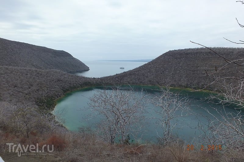Галапагосы. Остров Исабела. Бухта Тагус / Эквадор