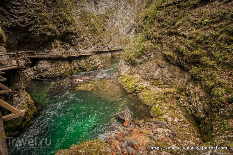 Ущелье Винтгар в Словении / Фото из Словении