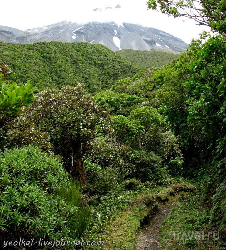 В стране антиподов. Вулкан Таранаки / Фото из Новой Зеландии