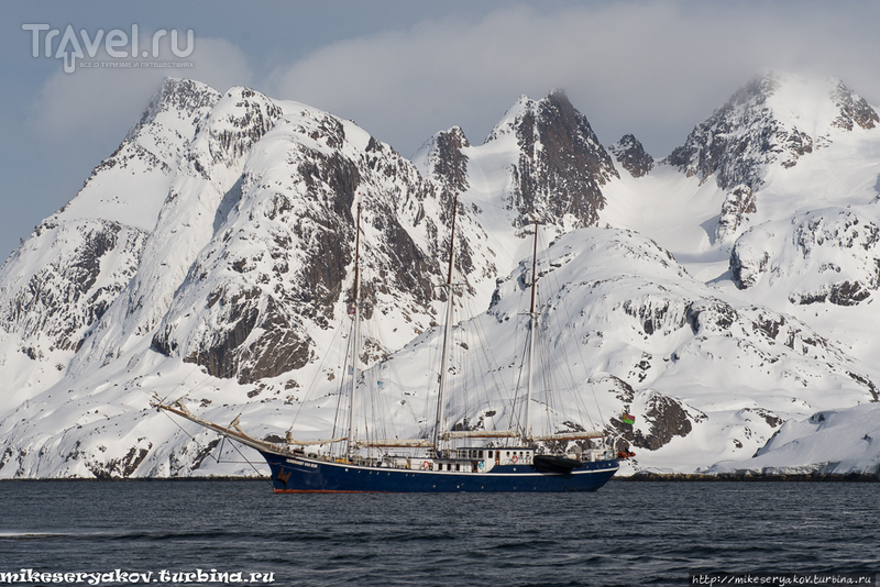 Сноудайвинг в Хамбургерзунде / Фото из Гренландии