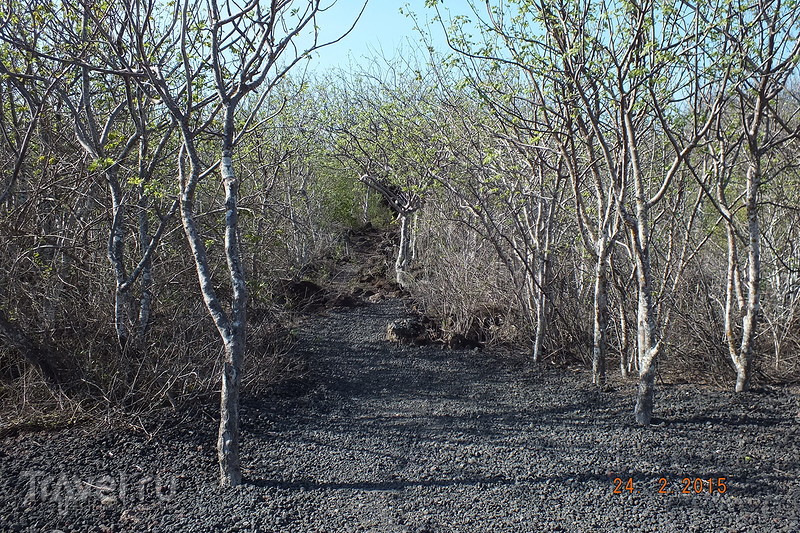 .  -.   Playa Punta Carola / 