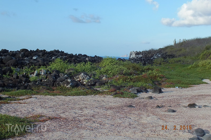 .  -.   Playa Punta Carola / 