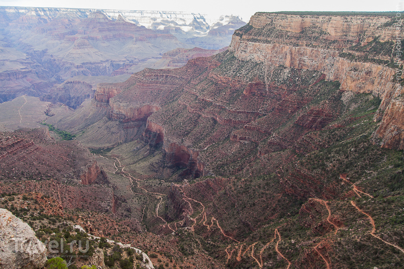 США. Лето в парках. Национальный парк Grand Canyon / Фото из США