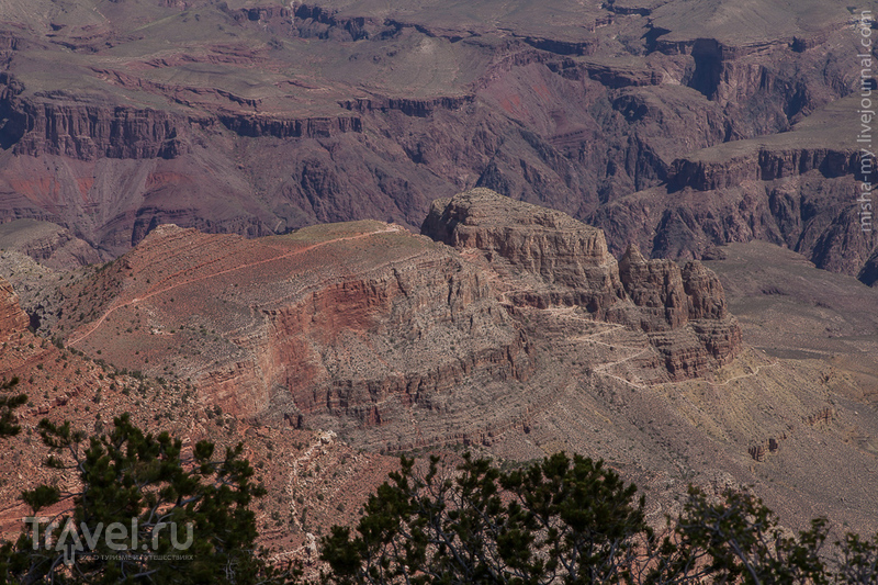 США. Лето в парках. Национальный парк Grand Canyon / Фото из США